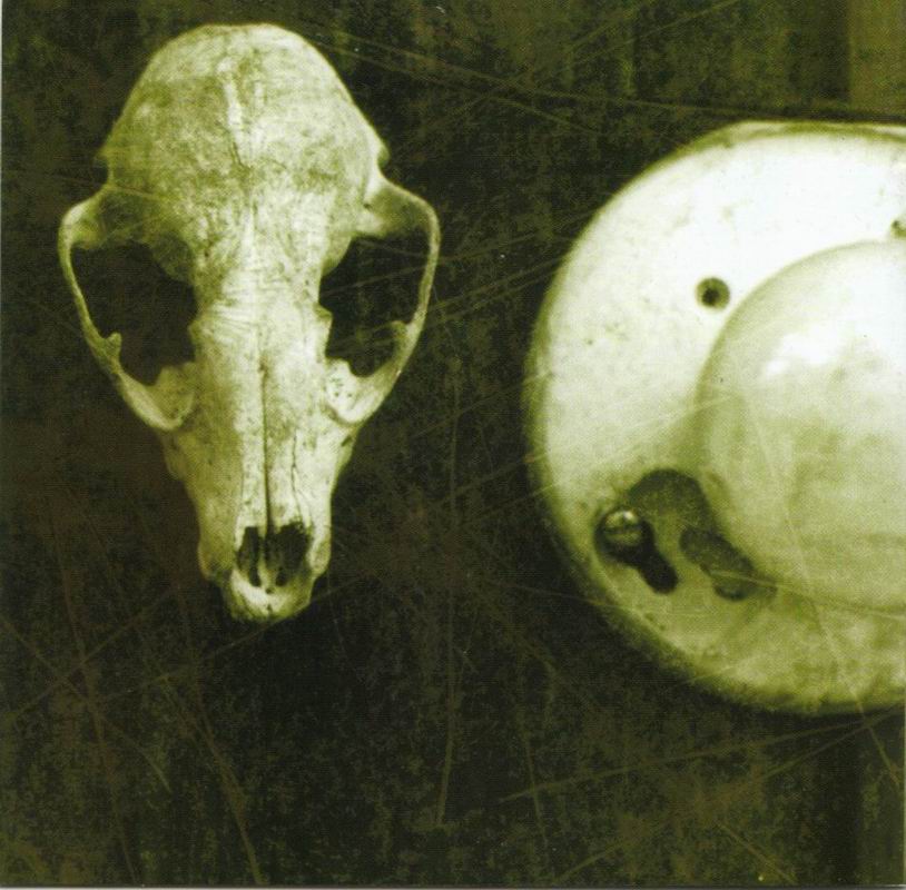 Sevendust  Home  inside